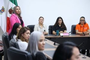 “Al igual que los ciudadanos; Somos México confía en el trabajo del IEM”: Carmen Pille