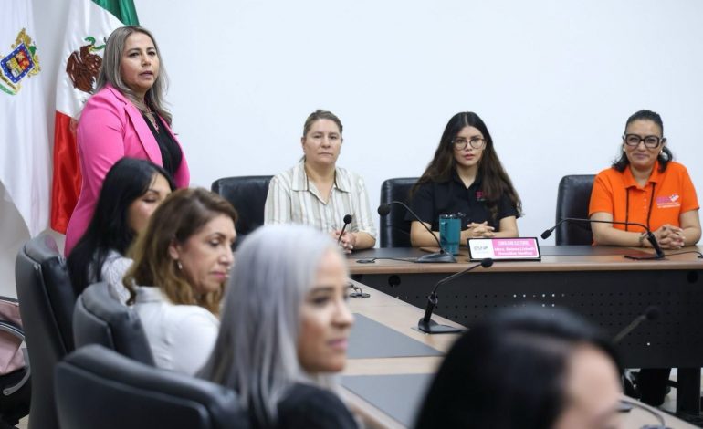 “Al igual que los ciudadanos; Somos México confía en el trabajo del IEM”: Carmen Pille