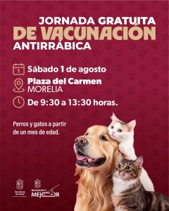 Vacunación antirrábica gratuita para perros y gatos en la Plaza del Carmen