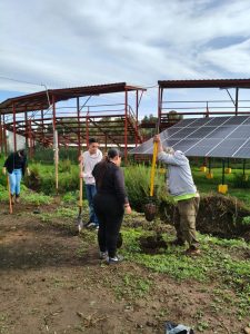 Estudiantes del Cecytem se suman a jornada de reforestación en Purépero.
