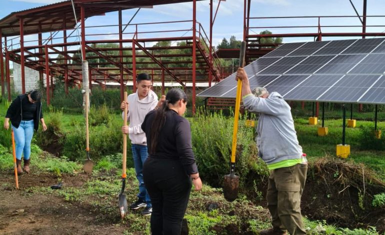 Estudiantes del Cecytem se suman a jornada de reforestación en Purépero.