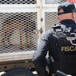 En el primer semestre de 2026, FGE logra el rescate y resguardo de cerca de 360 seres sintientes en Michoacán.