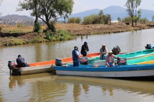 Rehabilitación de canal en Erongarícuaro reactiva la pesca y economía de las comunidades