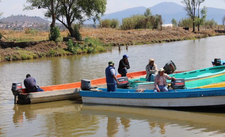 Rehabilitación de canal en Erongarícuaro reactiva la pesca y economía de las comunidades