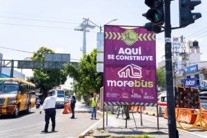 Morebús impulsa reforestación urbana este domingo 23 de agosto