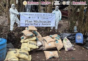 Ejército y Guardia Nacional desmantelan narcolaboratorio en Zitácuaro