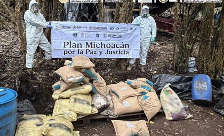 Ejército y Guardia Nacional desmantelan narcolaboratorio en Zitácuaro