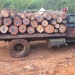 Asegura FGE camión cargado de 6.1 metros cúbicos de madera de pino durante operativo contra la tala ilegal en Morelia