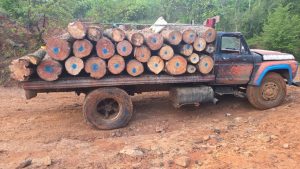 Asegura FGE camión cargado de 6.1 metros cúbicos de madera de pino durante operativo contra la tala ilegal en Morelia