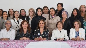 Viable, reducir el Impuesto Sobre Nómina: Fabiola Alanís