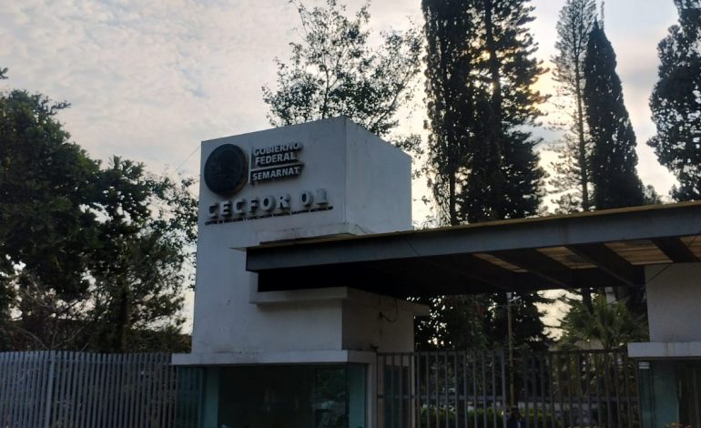 CECFOR 1 de Uruapan conmemora 73 años de formación forestal en Michoacán