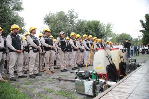SSM intensifica acciones contra el dengue en colonias de Morelia