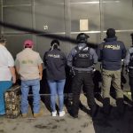 Asegura FGE ejemplar de Aguililla de Harris durante cateo por investigación de maltrato animal en Uruapan