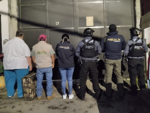Asegura FGE ejemplar de Aguililla de Harris durante cateo por investigación de maltrato animal en Uruapan