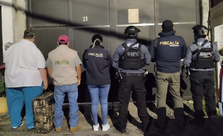 Asegura FGE ejemplar de Aguililla de Harris durante cateo por investigación de maltrato animal en Uruapan