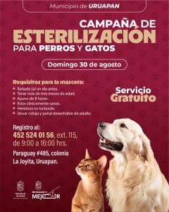 Habrá jornada de esterilización gratuita para perros y gatos en Uruapan