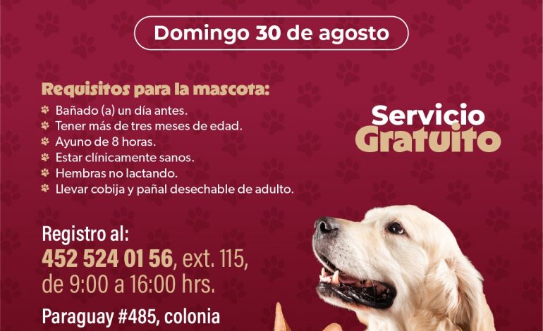 Habrá jornada de esterilización gratuita para perros y gatos en Uruapan