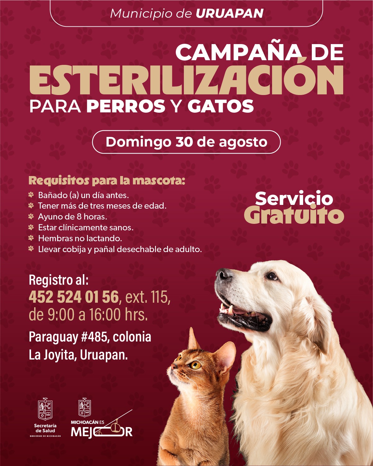 Habrá jornada de esterilización gratuita para perros y gatos en Uruapan