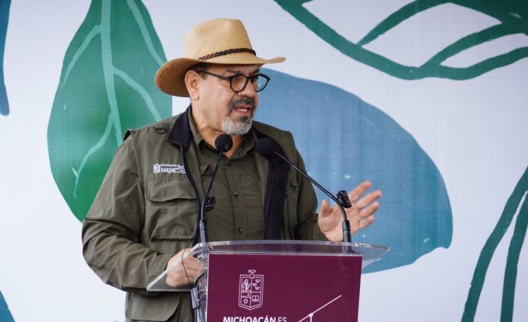 Secma pone a disposición de la ciudadanía estudio de impacto ambiental del Morebús