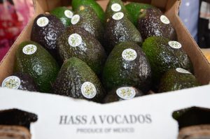 Michoacán cosechó un millón 460 mil toneladas de aguacate en la temporada 2025-2026