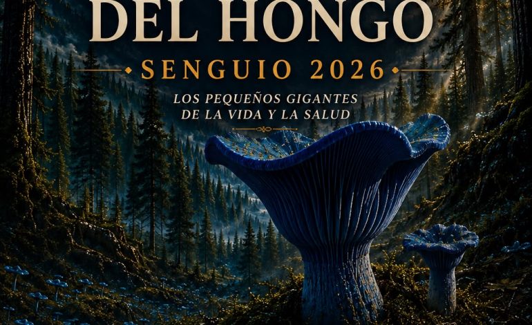 Senguio celebra la riqueza de sus bosques con la Expo Feria del Hongo 2026