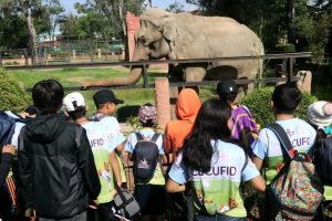 Más de mil niñas y niños participaron en los cursos de verano 2026 de la Cecufid