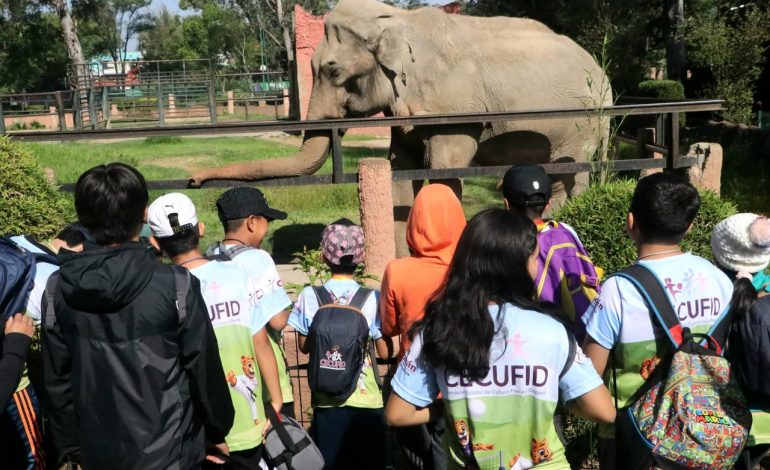 Más de mil niñas y niños participaron en los cursos de verano 2026 de la Cecufid
