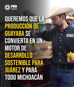Queremos que la producción de guayaba se convierta en un motor de desarrollo sostenible para Juárez y para todo Michoacán:  Octavio Ocampo