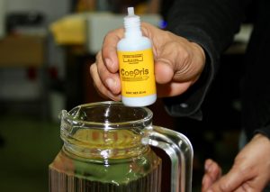 SSM llama a consumir agua segura para evitar enfermedades estomacales
