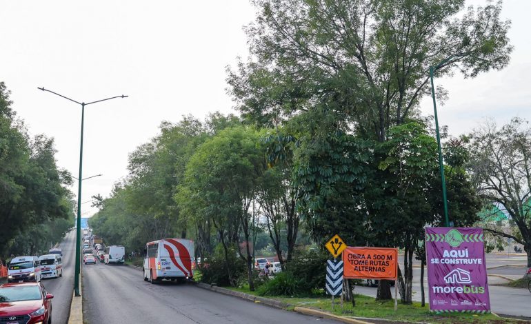 Con ajuste del proyecto del Morebús se rescatarán y trasplantarán 27 árboles en Tres Puentes