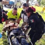 Camioneta choca contra árbol en Morelia; hay un lesionado