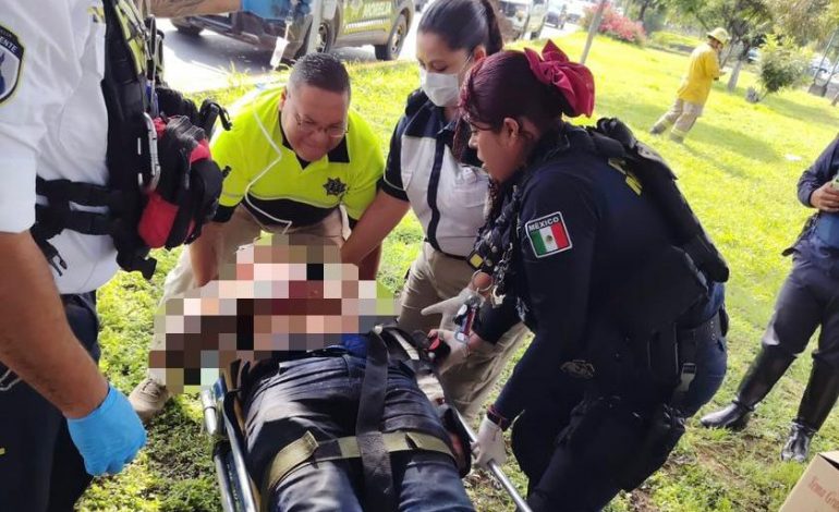 Camioneta choca contra árbol en Morelia; hay un lesionado