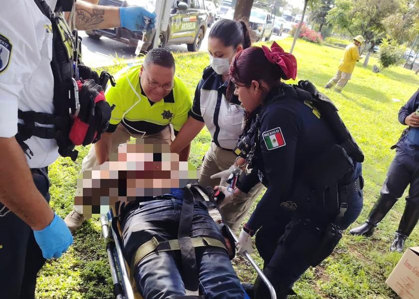 Camioneta choca contra árbol en Morelia; hay un lesionado