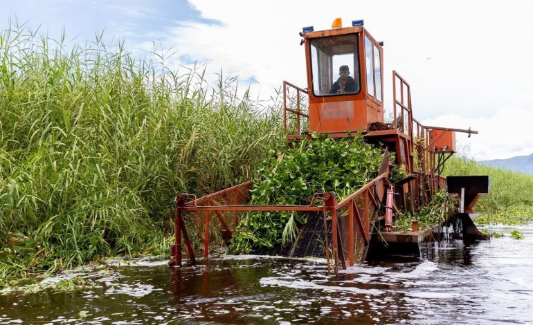 Intensifican trabajos de recuperación en el lago de Cuitzeo con maquinaria especializada.
