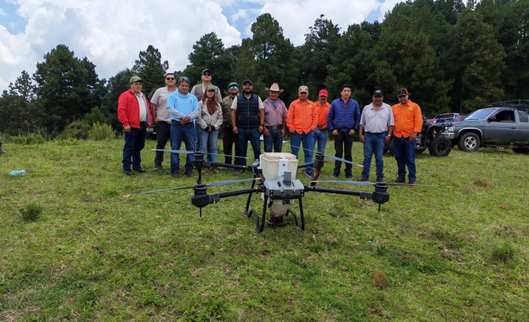 Restauran bosques de Tlalpujahua con la dispersión de 6 mil germoesferas.