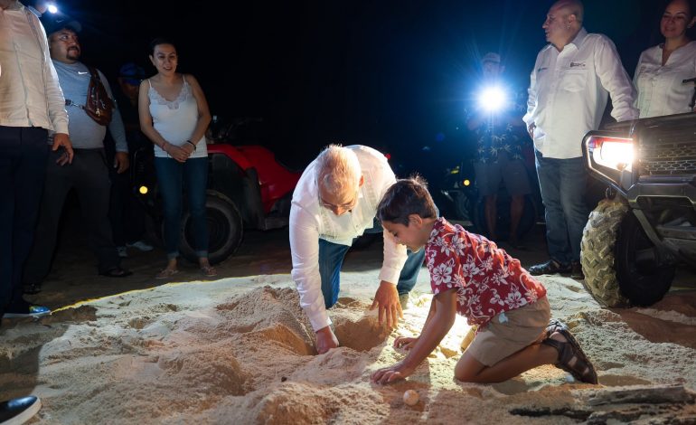 Con apoyo de 27 campamentos, Michoacán proyecta el nacimiento de 1.8 millones de tortugas: Bedolla.