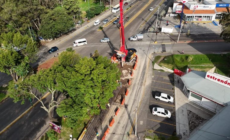 Más de 20 mil árboles transformarán Morelia junto con el Morebús: Sedum.