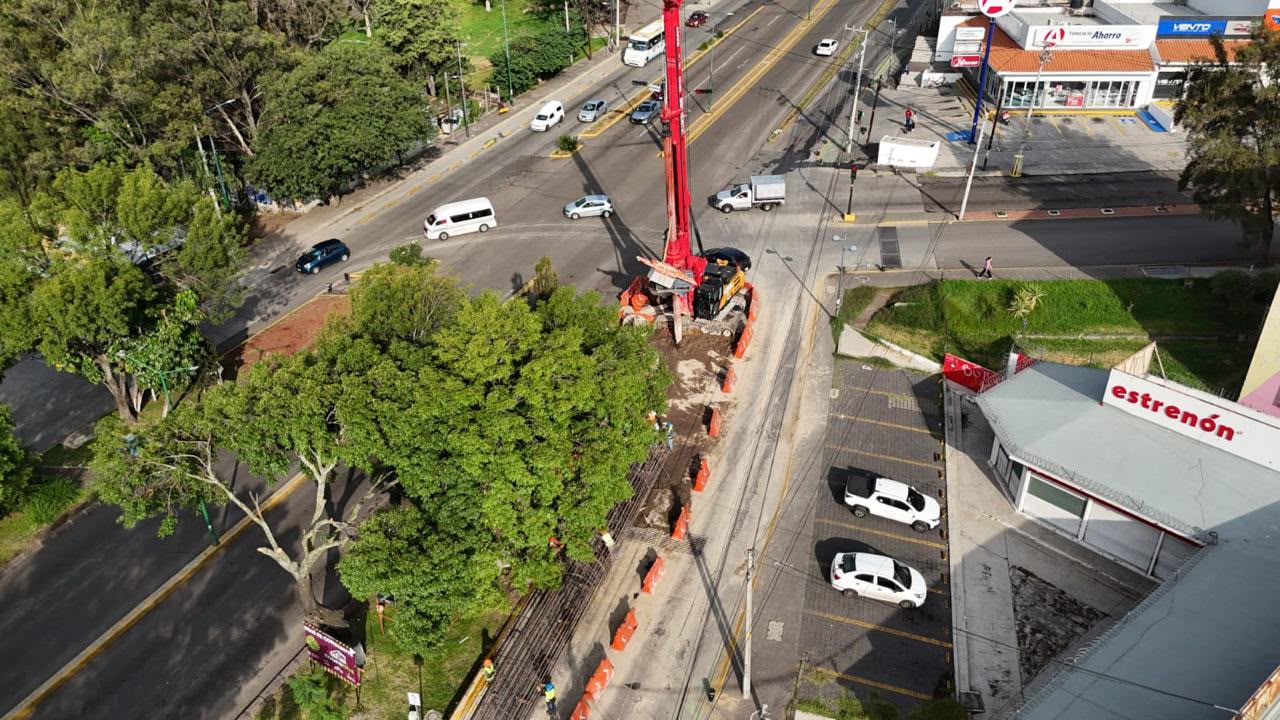 Más de 20 mil árboles transformarán Morelia junto con el Morebús: Sedum.