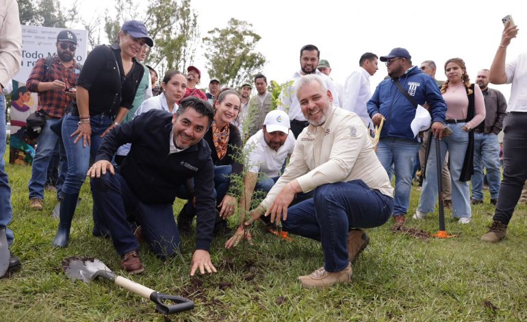 Arrancará mañana reforestación de 32 mil árboles en la ruta del Morebús: Bedolla.