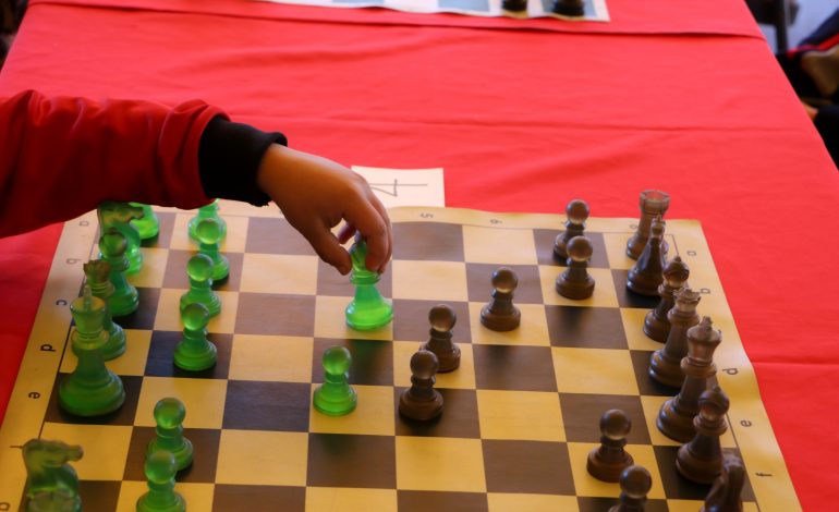 ¡Jaque mate en el Jardín Municipal! Invitan a participar en el 1er Torneo de Verano de Ajedrez