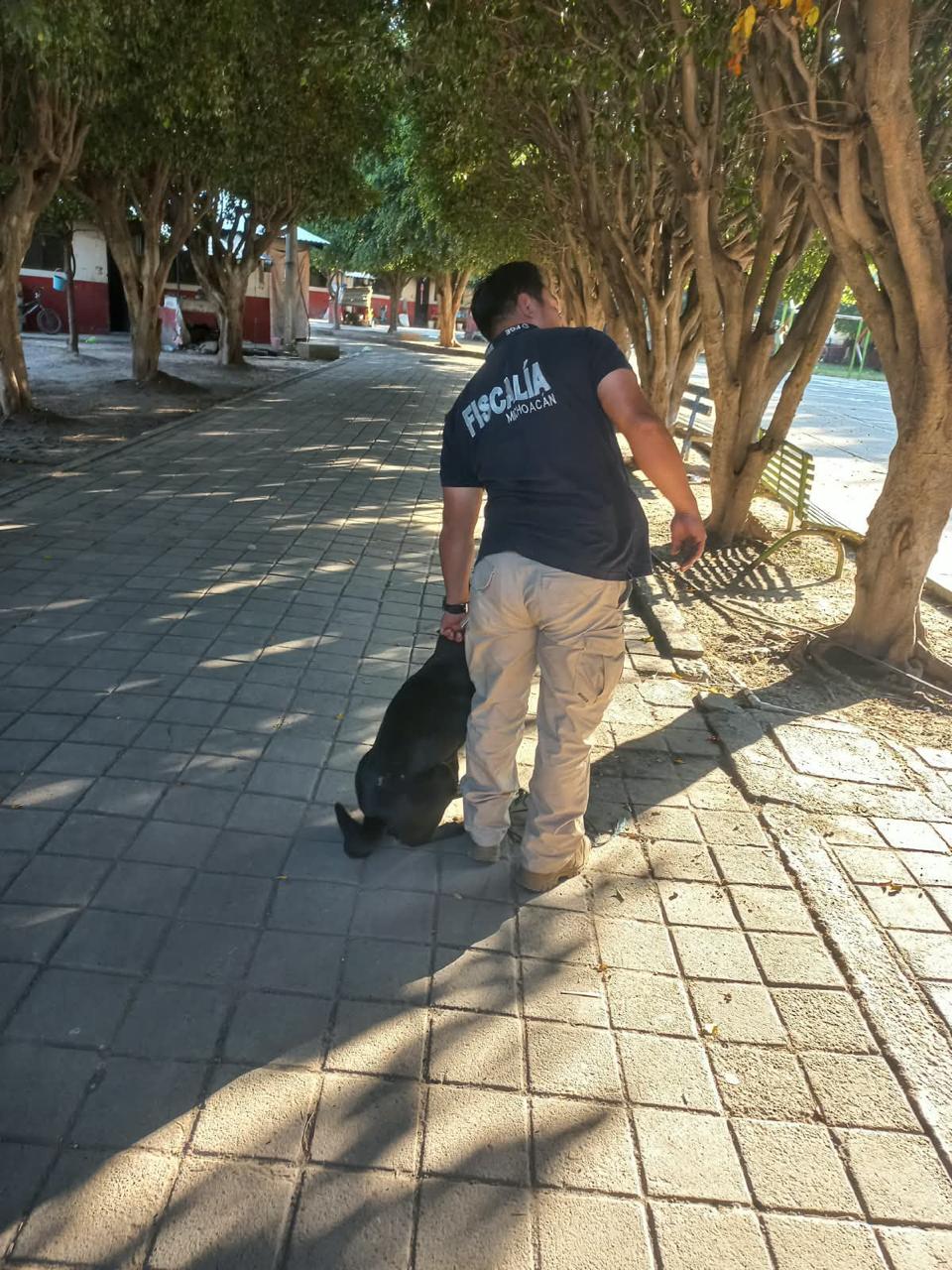 Localiza FGE a segundo canino relacionado con investigación por maltrato animal