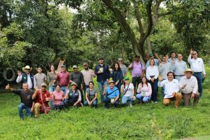 Sader impulsa producción de abonos orgánicos para reducir costos agrícolas en Tacámbaro