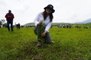 Crece 120% la reforestación en Áreas de Conservación de Michoacán; van 55 mil plantas