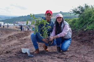 Reforesta SCOP el segundo anillo periférico de Morelia con más de 36 mil árboles endémicos.
<br>