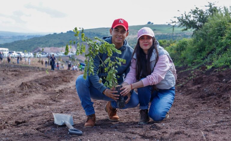 Reforesta SCOP el segundo anillo periférico de Morelia con más de 36 mil árboles endémicos.
