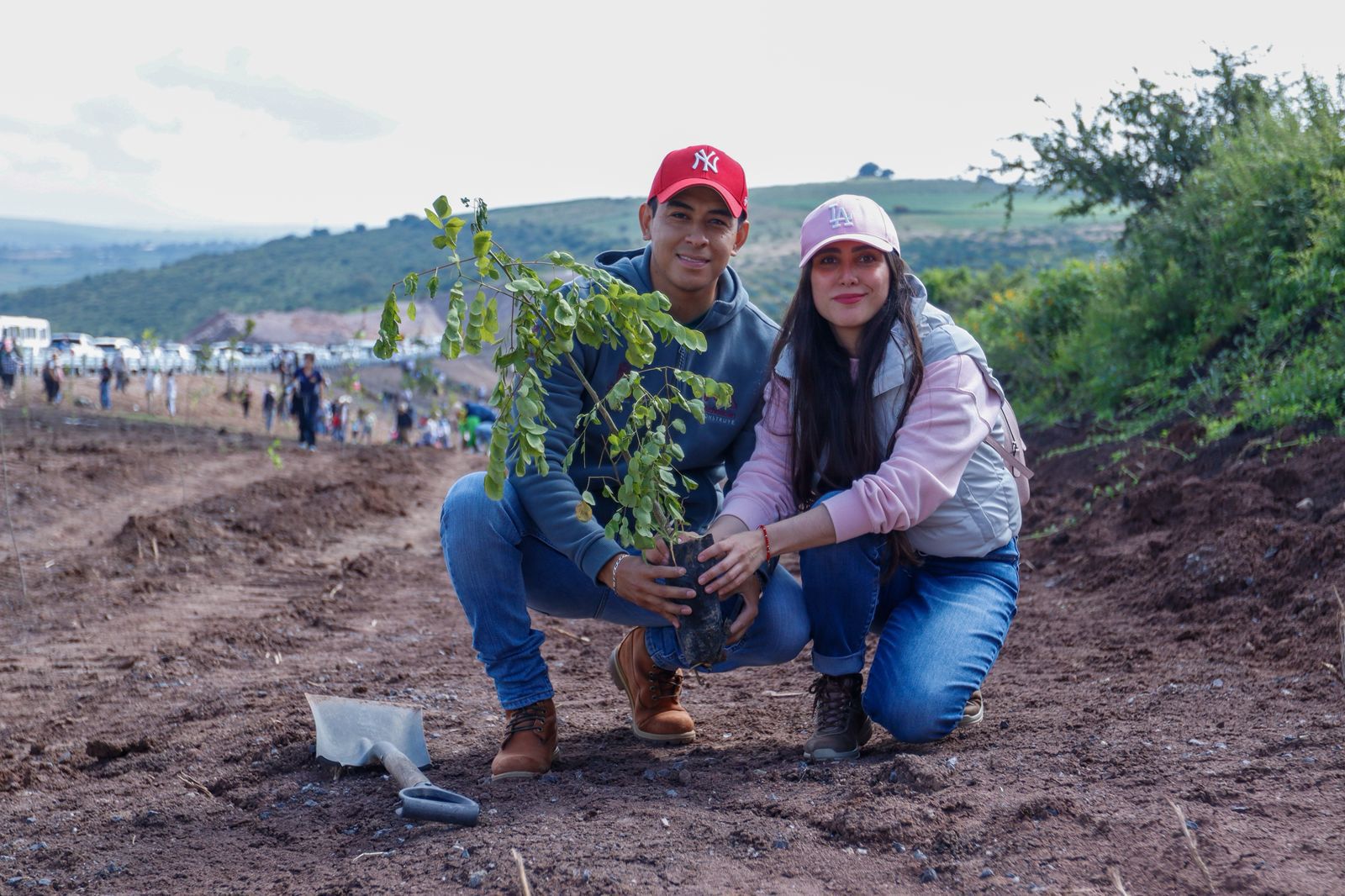 Reforesta SCOP el segundo anillo periférico de Morelia con más de 36 mil árboles endémicos.

