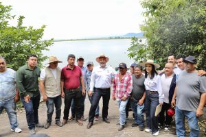 Avanza retiro de lirio en Presa Malpaís de Queréndaro; 500 hectáreas serán limpiadas: Bedolla.<br>