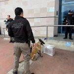 Autoridades federales aseguran presunta droga en terminal de autobuses de Morelia.