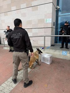 Autoridades federales aseguran presunta droga en terminal de autobuses de Morelia.