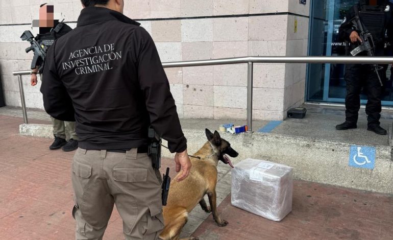 Autoridades federales aseguran presunta droga en terminal de autobuses de Morelia.